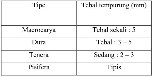 Tabel 2.1.1.1 Beda Tebal Tempurung dari Tipe Kelapa Sawit 