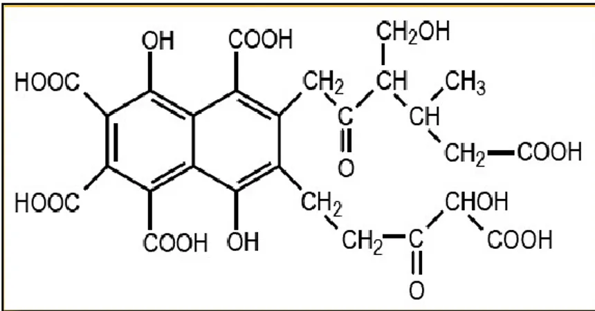 Gambar 4. Model struktur asam humat (Zadow., 2009) 