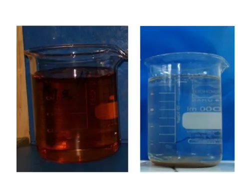 Gambar  9 : Warna air gambut sebelum dan setelah percobaan 