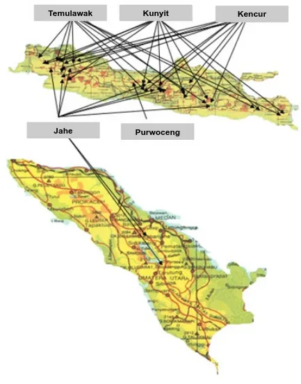 Gambar 4.  Peta areal penanaman temulawak, kunyit, kencur, jahe dan purwoceng di Pulau Jawa dan Sumatera Utara