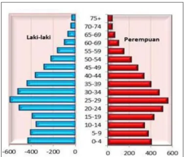 Gambar 2.5. Piramida Penduduk Provinsi DKI Jakarta Tahun 2011 