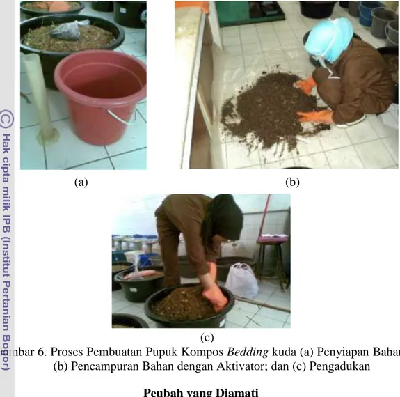 Gambar 6. Proses Pembuatan Pupuk Kompos Bedding kuda (a) Penyiapan Bahan;  (b) Pencampuran Bahan dengan Aktivator; dan (c) Pengadukan 