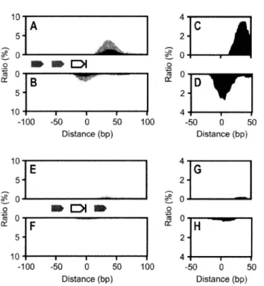 FIGURE 2.4  Distributions  of  Rho-independent  Terminators  around 