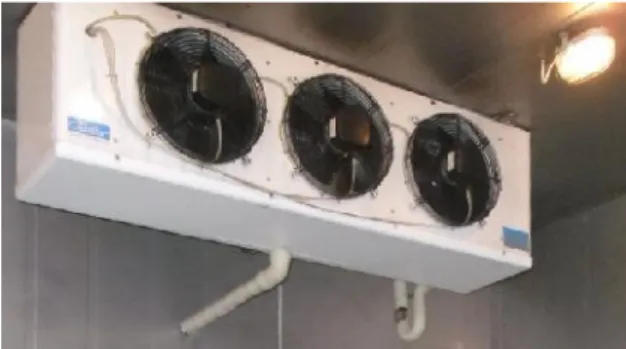 Gambar 1 menyajikan  gudang  freezer  /  pendingin berikut evaporatornya.