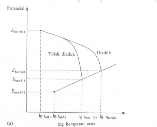Gambar 4 Pengaruh aliran terhadap diagram polarisasi [2] 