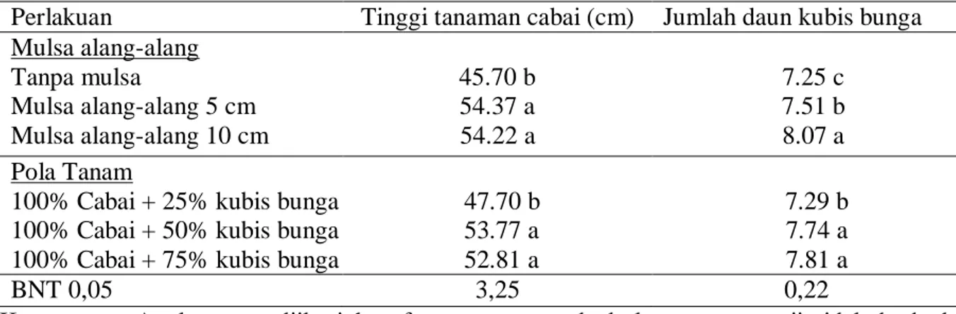 Tabel 2. Pengaruh  mulsa alang-alang dan pola tanam tumpangsari cabai dengan kubis bunga  terhadap tinggi tanaman cabai dan jumlah daun kubis bunga 8 MST