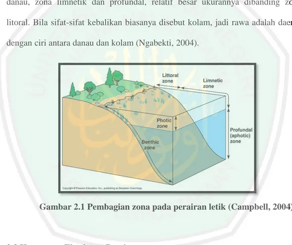 Gambar 2.1 Pembagian zona pada perairan letik (Campbell, 2004). 