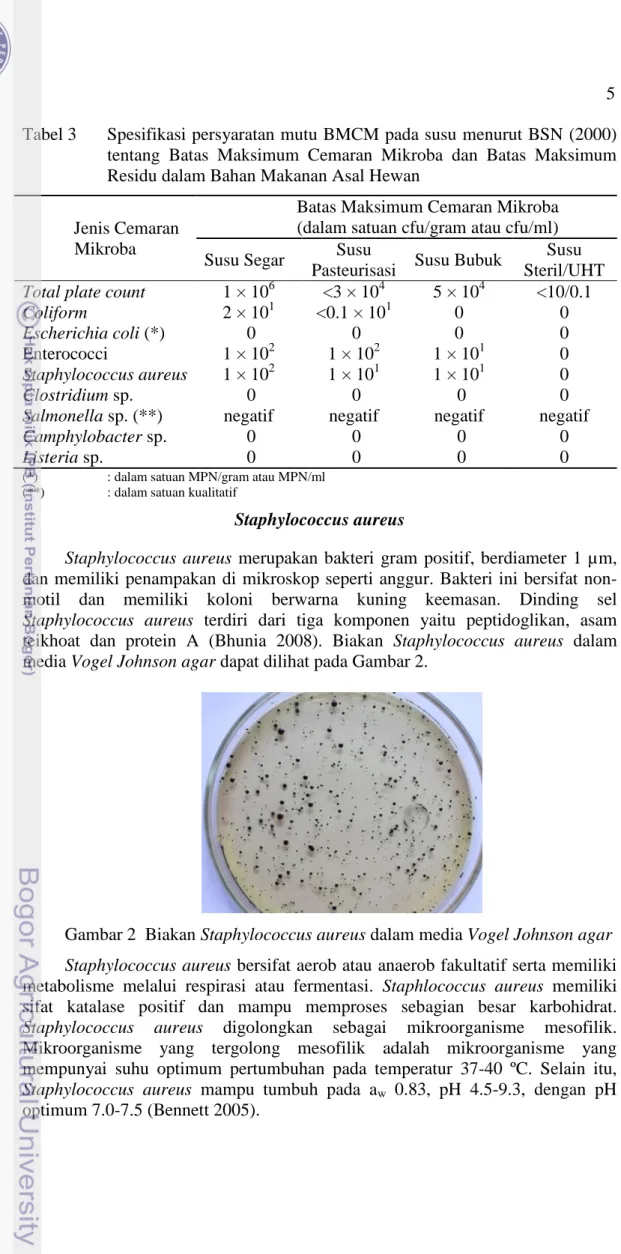 Gambar 2  Biakan Staphylococcus aureus dalam media Vogel Johnson agar  