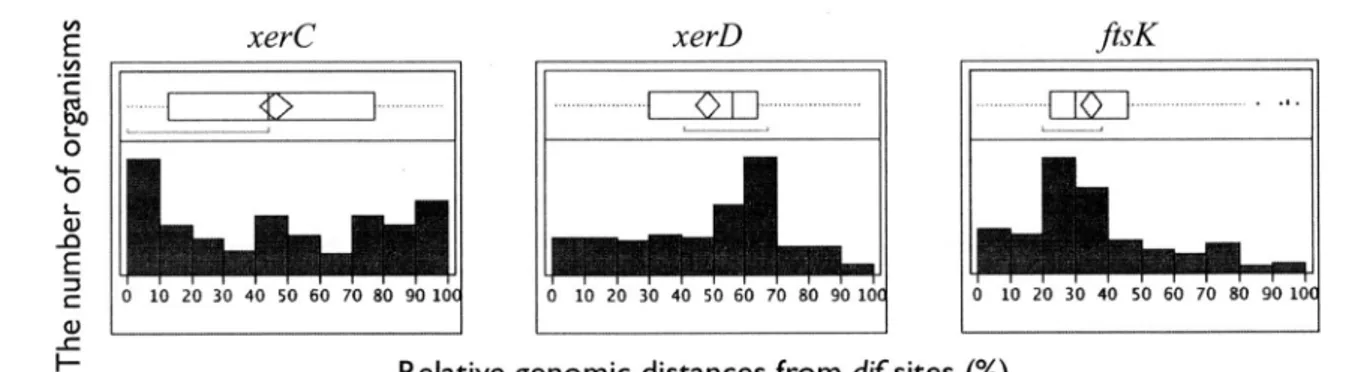 Figure  2.4:  Distribution  of  the   genomic  distances  of  xerC,  xerD  and  ftsK  gene  from  predicted  dif  sites