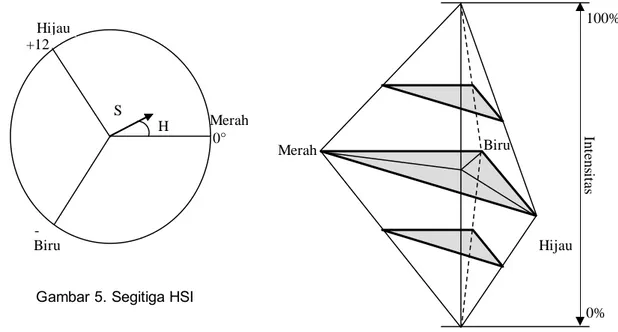 Gambar 6. Bentuk lengkap dari diagram HSI 