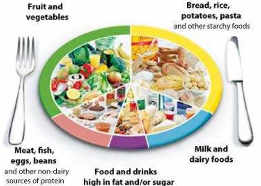 Figure 4. The eatwell plate (Source: FSA, 2010) 