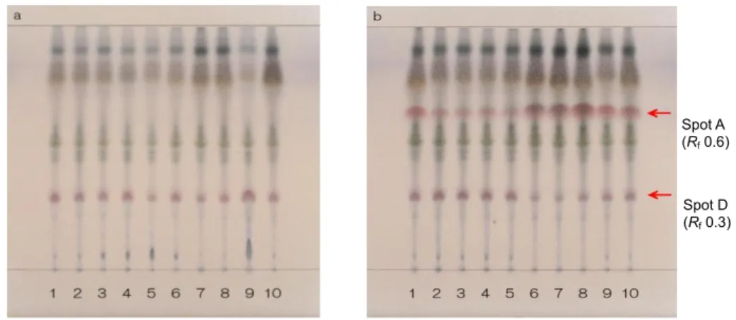 Fig. 1-8  Improved sample preparation method for comparison of Glycyrrhiza (a)  and Prepared Glycyrrhiza (b) (Condition IV) 