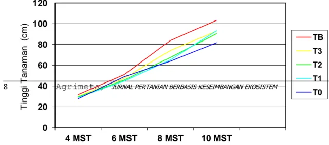 Gambar 3. Pengaruh perlakuan waktu aplikasi                         cendawan terhadap tinggi tanaman  