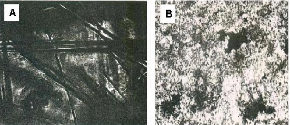 Gambar 1.  Struktur mikro gelas limbah hasil pengamatan dengan mikroskop optik (perbesaran   260 kali) 