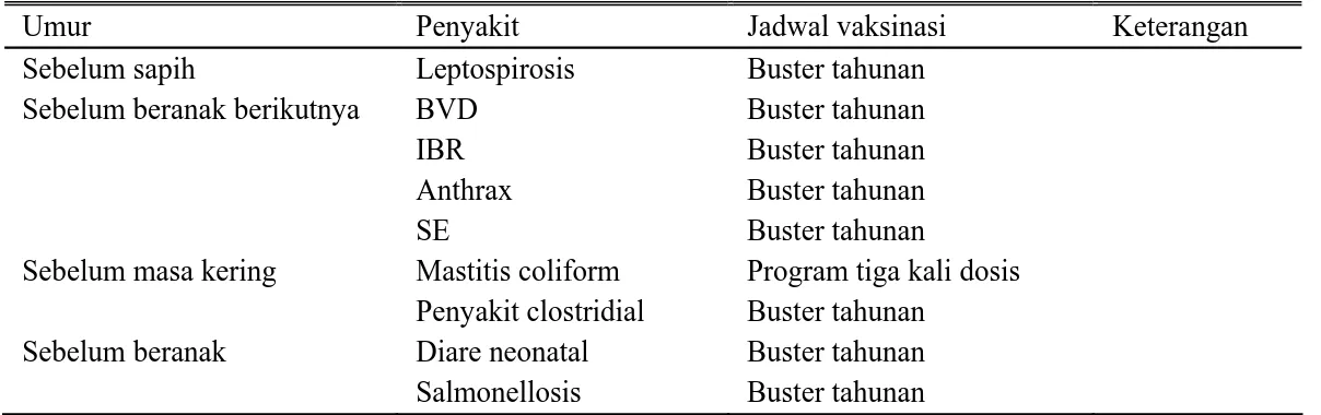 Tabel 4. Program Vaksinasi pada induk sapi perah 