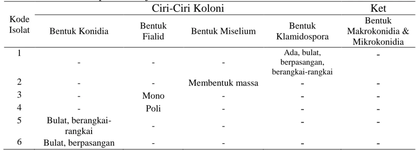 Tabel 2. Ciri mikroskopis koloni jamur Fusarium 