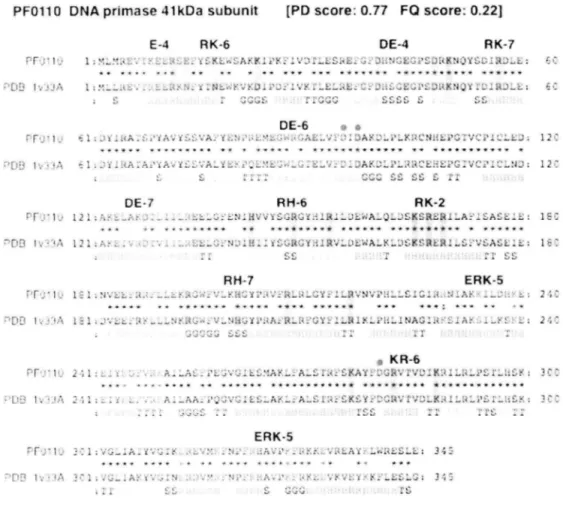 Figure  7.  Schematic  representation  of  Amino  acid  periodicity  in  the  sequence  of  DNA  primase