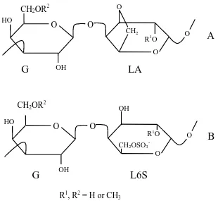 Gambar 1. Struktur  kimia  agar-agar,  agar-agar  yang  ideal  (A),  prekursor  agar-agar  (B)  (Falshaw  dkk., 1998)