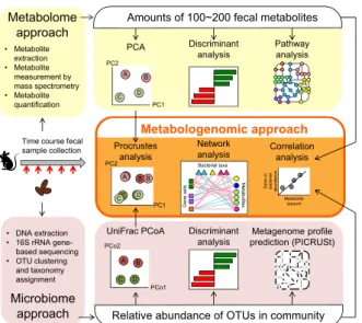 Figure 3.1 Overview of metabologenomic analysis  workflow   