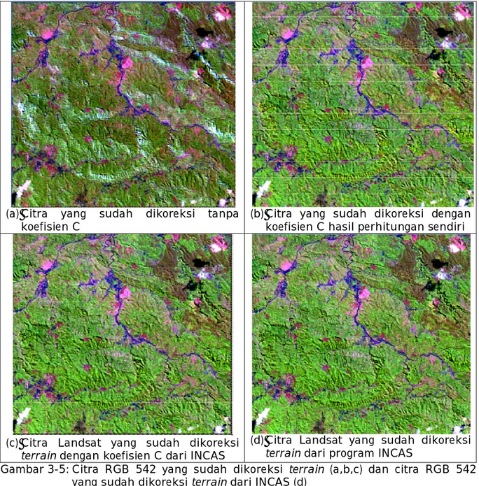 Gambar 3-5: Citra  RGB  542  yang  sudah  dikoreksi  terrain  (a,b,c)  dan  citra  RGB  542  yang sudah dikoreksi terrain dari INCAS (d) 