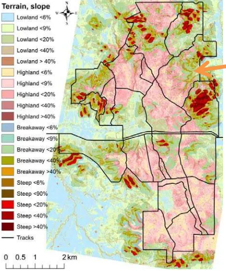 Figure 1. Geomorphological classes for the area scanned 