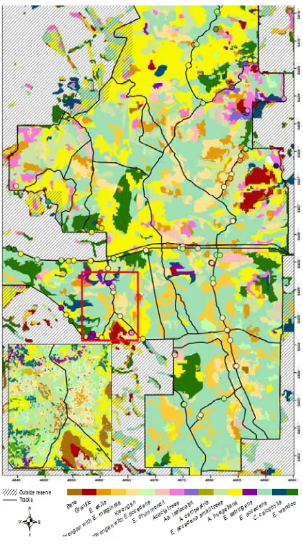 Figure 3. Classifications for vegetation objects in 
