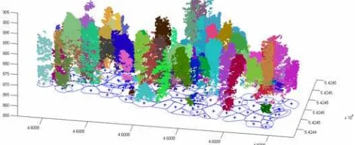 Table 2. Characteristics of sample plots 