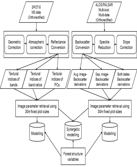 Table 1. The summary of the statistical information for the 61 plots used 