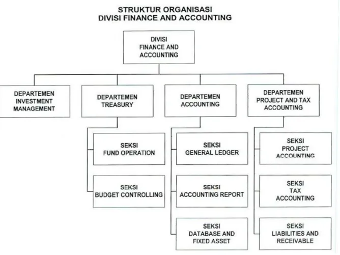 Gambar 2.2 Struktur Organisasi Divisi Finance and Accounting 