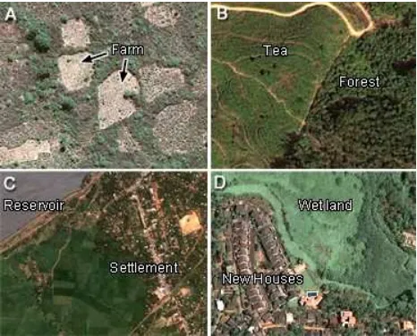 Figure 1. Major causes of deforestation in Sri Lanka; A –traditional cut and burn farms, B – large scale plantations, C –new agriculture settlements, D – filling wet lands for housing