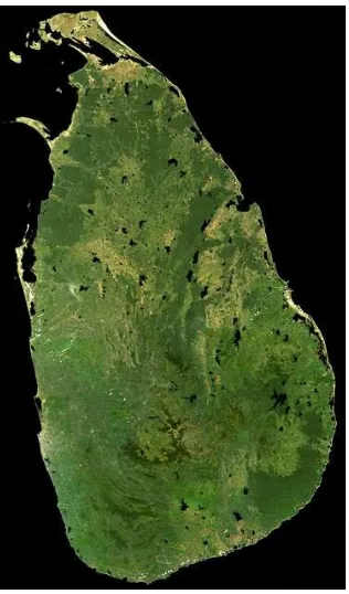 Figure 5. Cloud free MODIS image mosaic of Sri Lanka. 