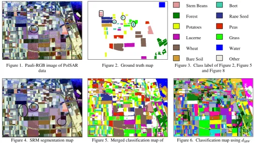 Figure 6.  Classification map using dSRW 