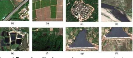 Figure 1 Examples of land use patches on remote sensing image  (a. roads; b. cultivated lands; c