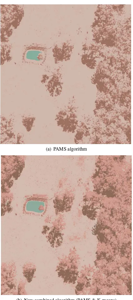 Figure 3: Unsupervised multispectral classiﬁcation of paddockﬁeld aerial image