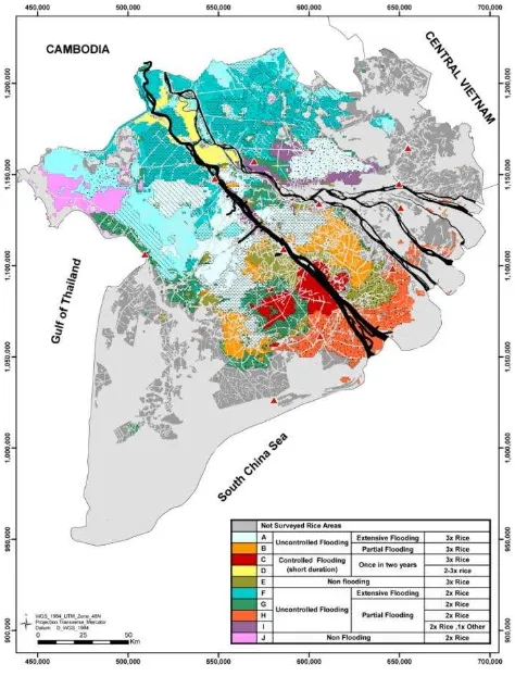 Figure 4. The NDVI rice unit map.