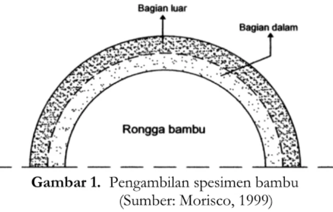 Gambar 1. Pengambilan spesimen bambu (Sumber: Morisco, 1999)