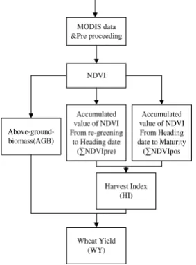Figure 2.  the sketch of relationship between AGB & ∑NDVI 
