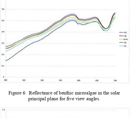 Figure 6: Reflectance of benthic microalgae in the solar 