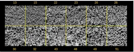 Figure 1: Panchromatic test frame, sorted by increasing age