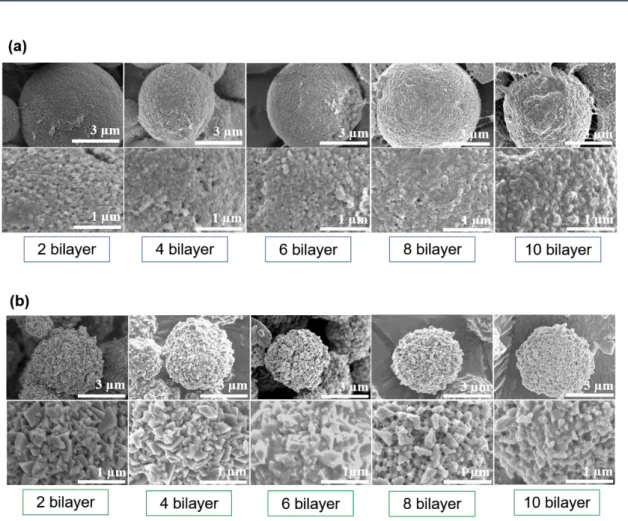 Figure 2-3. CaCO 3  composite with β-chitosan and sodium alginate fabricated by LBL  method from 2 bilayers to 10 bilayers