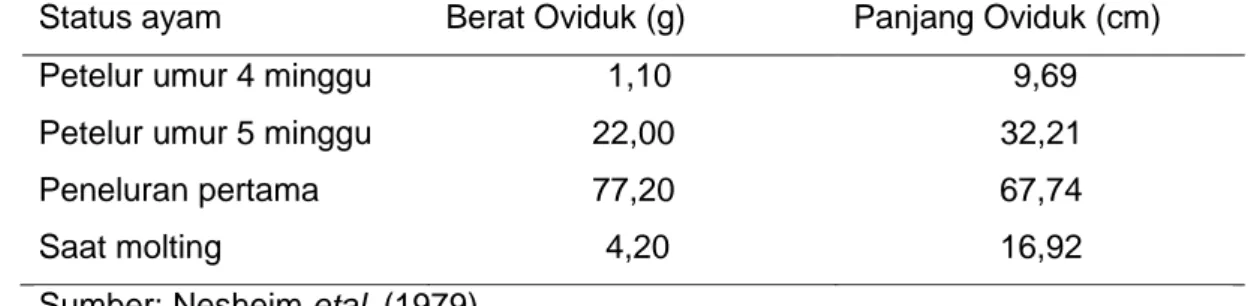 Tabel 5. Pengaruh umur terhadap berat dan panjang oviduk  Status ayam  Berat Oviduk (g)  Panjang Oviduk (cm)  Petelur umur 4 minggu 