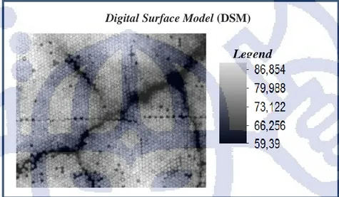Gambar 4.2 Hasil Digital Surface Model (DSM) 