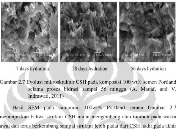 Gambar 2.7 Evolusi mikrosktuktur CSH pada komposisi 100 wt% semen Portland   selama  proses  hidrasi  sampai  56  minggu  (A