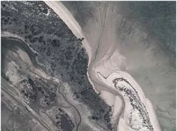 Gambar 5. Pengaruh fluviatil asal sungai di pantai Horoes.