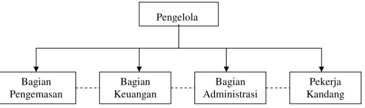 Gambar 2. Struktur Organisasi Perusahaan Rian Puspita Jaya  Pemerahan 