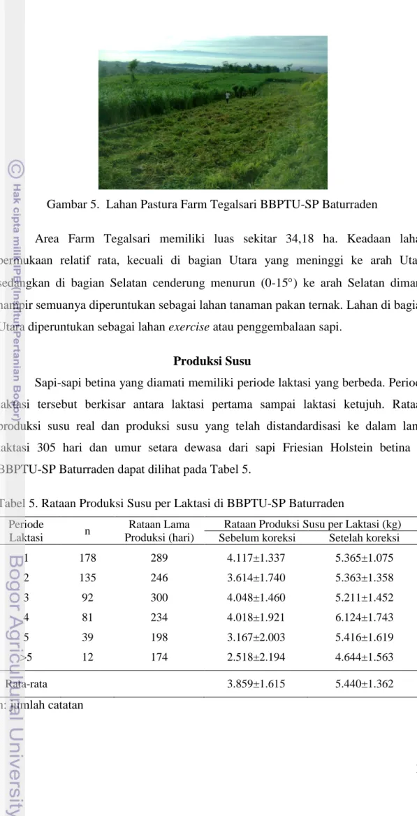 Tabel 5. Rataan Produksi Susu per Laktasi di BBPTU-SP Baturraden  Periode 