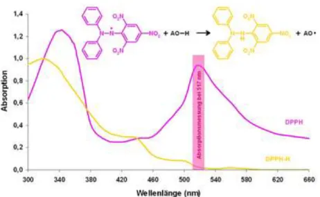 Gambar  2.1  Absorbansi  pada  spektrum  UV  dari  radikal  DPPH  (Z,  warna  violet)  dan  non  radikal DPPH (ZH, warna kuning) 