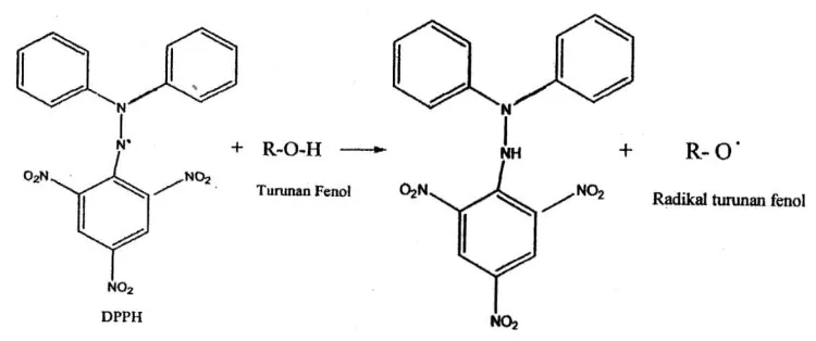 Gambar 4.10 Reaksi DPPH dengan turunan fenol (Silalahi, 2006). 