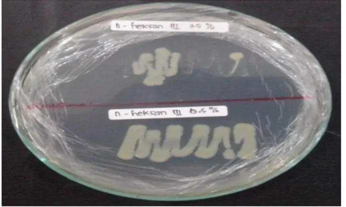 Gambar 4 Konsentrasi Bunuh Minimum ekstrak n-heksana Biji Buah  Langsat konsentrasi 25% dan 12,5% terlihat pertumbuhan  bakteri 