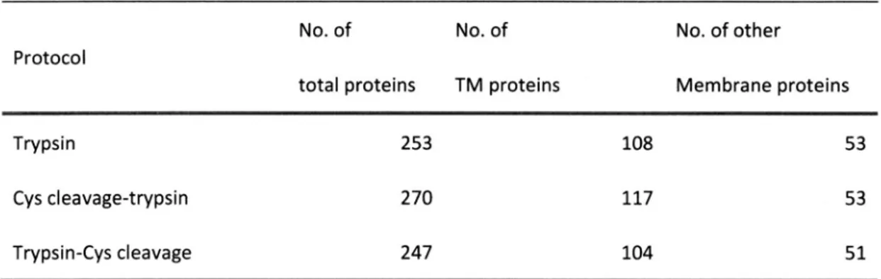 Table  3  Impact  of  the  Preceding  Cys  Cleavage  on  Protein  Identification